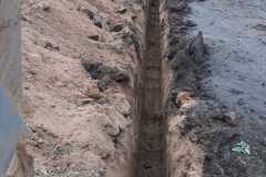 wp_foto__10