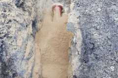 wp_foto__56